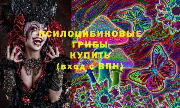 бошки Абдулино