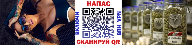 Конопля индика  Полтавская 